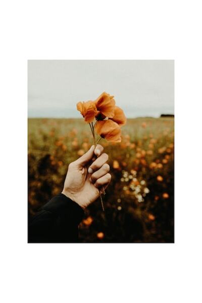 OEM Pictură pe pânză, „Roua dimineții în câmpie”, Flori, Natură, Portocaliu, ...