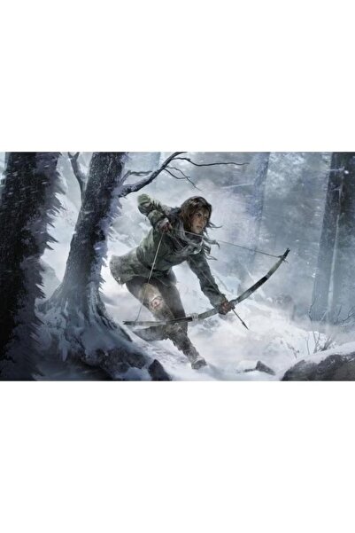 Square Enix Rise Of The Tomb Raider (Intl Version) - playstation_4_ps4