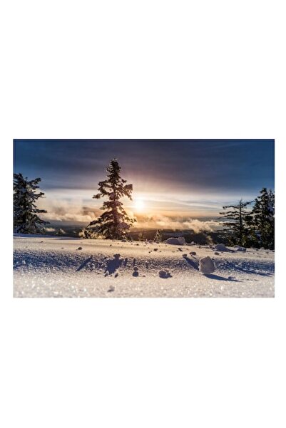 OEM Pictură pe pânză, „Răsărit de soare peste tărâmul înghețat al pădurii”, I...