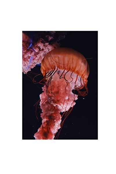OEM Pictură pe pânză, „Dansul grațios al meduzelor roz”, Frumusețea oceanului
