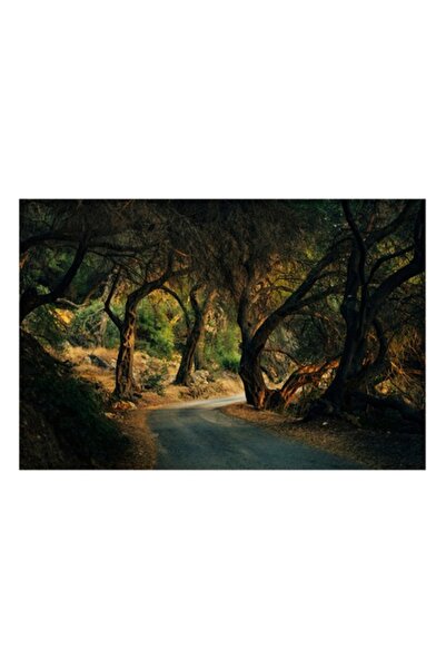 OEM Pictură pe pânză, „Cale misterioasă prin pădurea întunecată”, scenă din n...