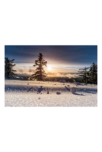 OEM Tablou Canvas, 'Rasarit peste taramul inghetat al padurii', Iarna, Apus, Zapada, Padure, Lumina, Umb