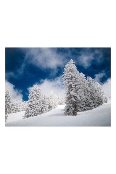 OEM Pictură pe pânză, „Pădure înghețată sub cer albastru”, Peisaj de iarnă, 7...