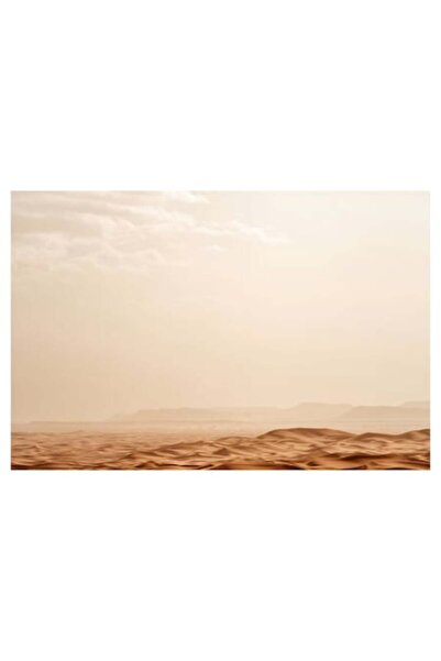 OEM Pictură pe pânză, „Infinitul deșertului sub cerul palid”