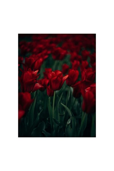 OEM Pictură pe pânză, „Dansul lalelelor purpurii”