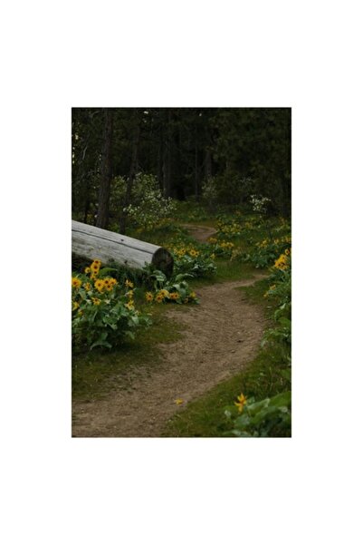 OEM Pictură pe pânză „Calea Naturii” - 70 x 100 cm