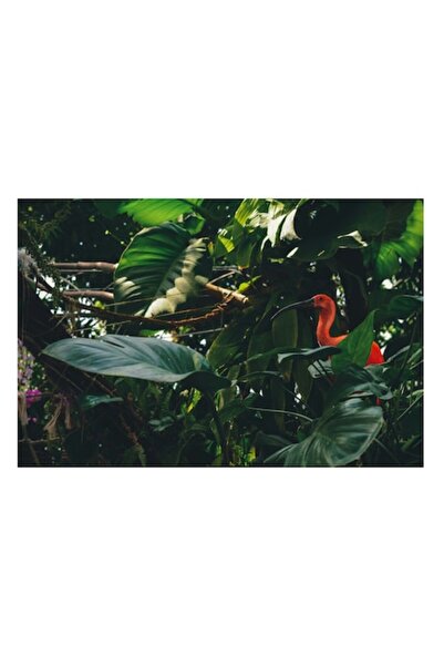 OEM Pictură pe pânză, „Pasăre roșie în jungla verde”, 70 x 50 cm