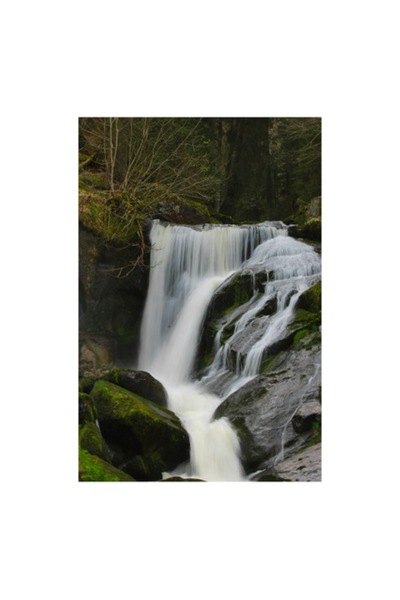 OEM Tablou Canvas, "Izvorul paraului de munte linistit", 26 x 39cm