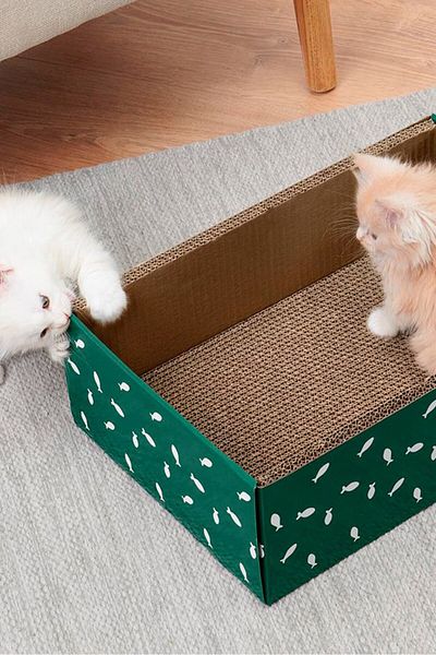 Tchibo Cat Scratching Box, Green
