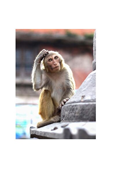 OEM Pictură pe pânză, „Nu știu cine este în imagine, dar aș putea spune că es...