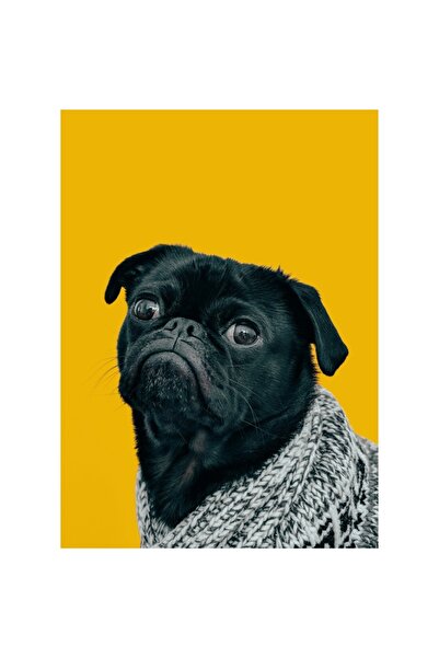 OEM Pictură pe pânză - Câine în pulover texturat pe fundal galben