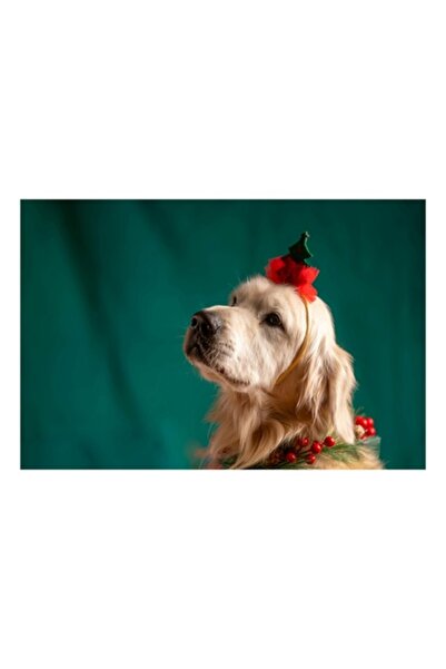 OEM Tablou Canvas, 'Caine impodobit de sarbatori de iarna', Golden Retriever,...