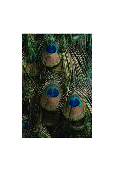 OEM Tablou Canvas, "Ochiul paunului in dansul culorilor", Pene, Colorate, Modele, Detalii, Textura, Frum