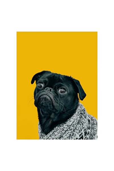 OEM Pictură pe pânză - Câine în pulover texturat pe fundal galben
