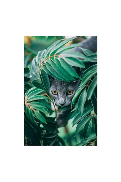 OEM Tablou Canvas, 'Pisica ascunsa in tufis verde', 50 x 70cm