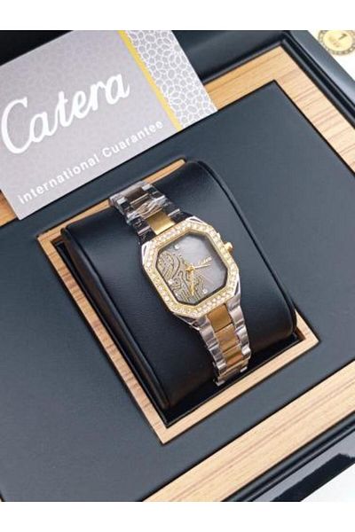 catera Women's watch expressing authenticity, silver and gold steel, gray dial