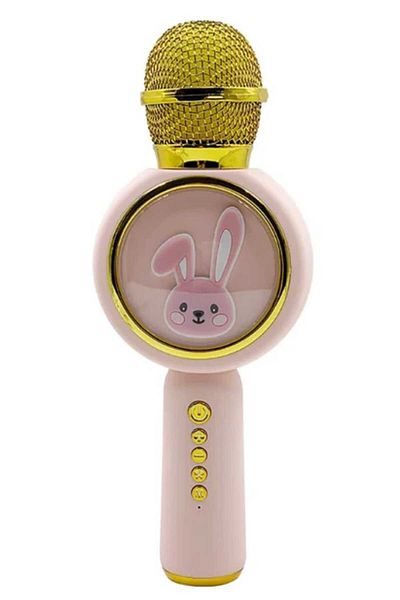 Generic Kids Microphone for Singing Wireless Bluetooth Karaoke Microphone, TF Card Speaker Multi-color Microphone