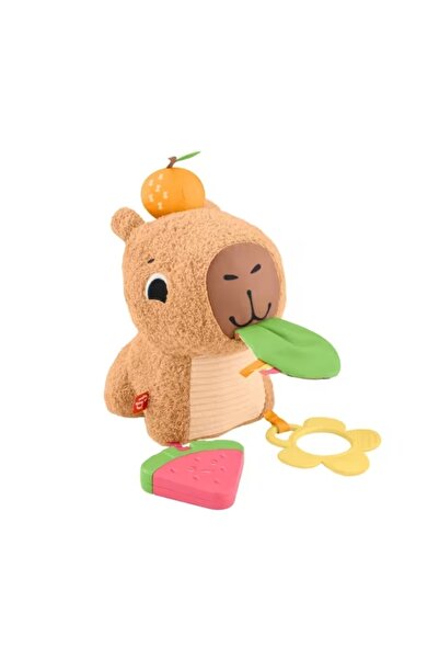 FISHER PRICE Cuddly Capybara Hyr54