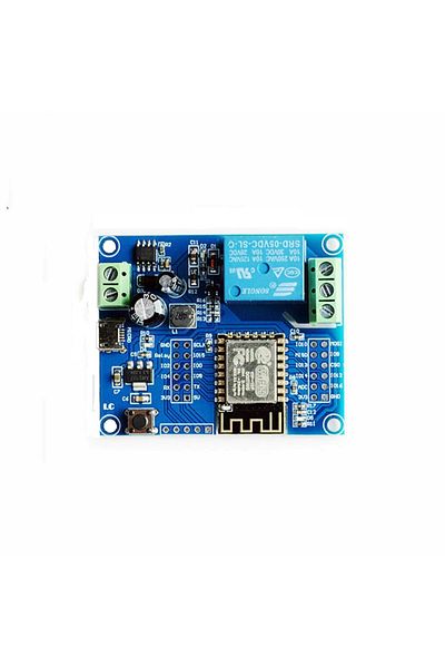 OEM WiFi Switch Relay Module, MQTT, Homekit, ATHOM