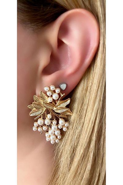 Store Diva Charm Elegant Leaf Grape Design Earrings