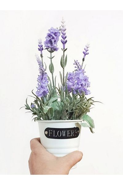 Koopman Planta artificiala Lavanda, Azay Design, in ghiveci alb metallic, culoare mov lila, inaltime 28cm
