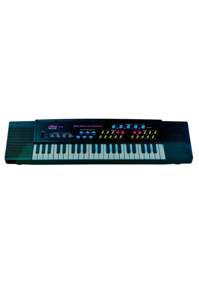 PROCART Electronic toy organ, microphone included, multiple functions, 44 keys