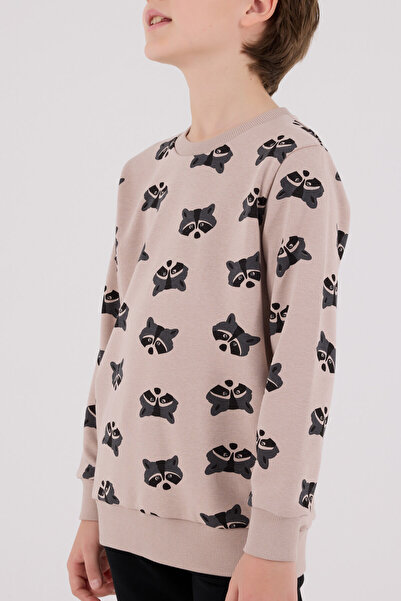 Rolypoly Σετ φόρμας καφέ για αγόρι