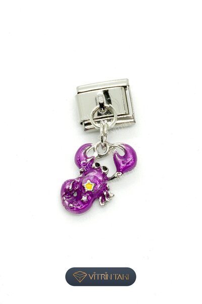 Çelik Akrep Burç Gümüş Renk İtalyan Bileklik Charm