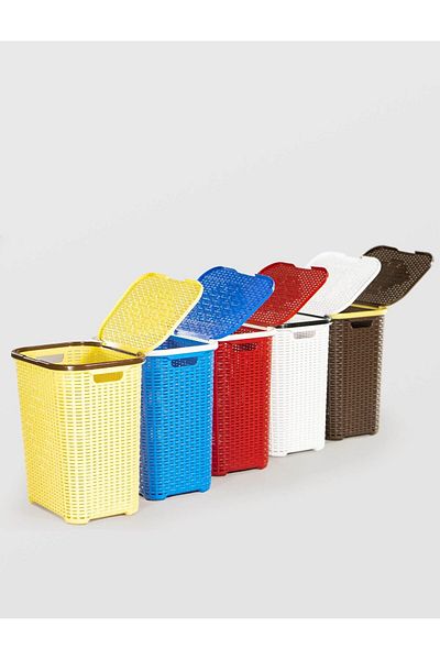 JollyMag COS DE RUFE RATAN COLOR STERK 46 X 34 X 51DIVERSE CULORI