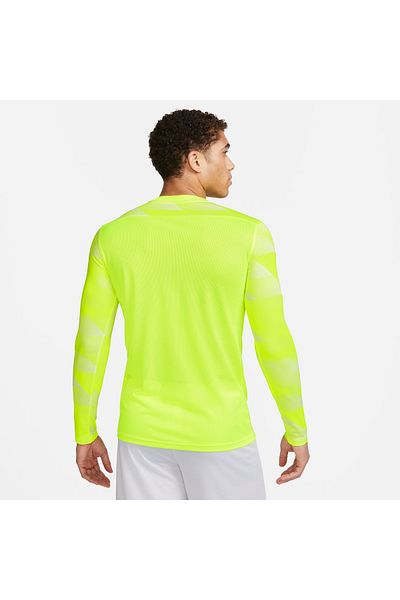 Nike Goalkeeper shirt M Nk Df Park Iv Jsy Ls Gk