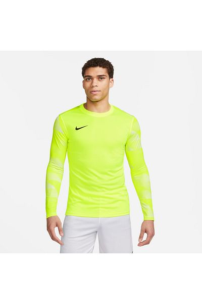Nike Goalkeeper shirt M Nk Df Park Iv Jsy Ls Gk