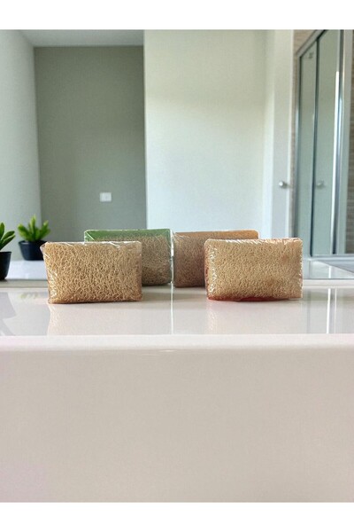 Tpm Natural Handmade Aloe Vera, Donkey Milk, Rose and Rice Pumpkin Fiber Soap Set of 4 560 Grams