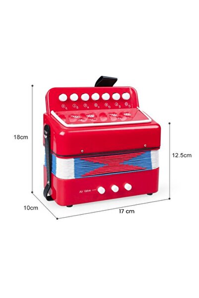 Flippy Accordion for Children, Flippy, Educational Toy Accordion, 7 buttons 2 bass, Musical Instrument for