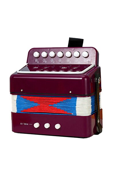 Flippy Acordeon pentru copii, Flippy, jucărie educativă acordeon, 7 butoane 2 bas, instrument muzical, 18x17x10