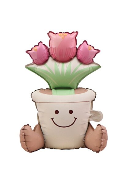 Terra Metallic Foil Balloon, Animated Figurine, Flower Pot Model, 58 x 55 cm,...