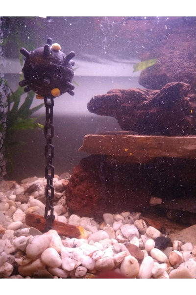 İN3DEX Yüzen Deniz Mayını Akvaryum Dekoru, Balık ve Karides İçin Oyuncak