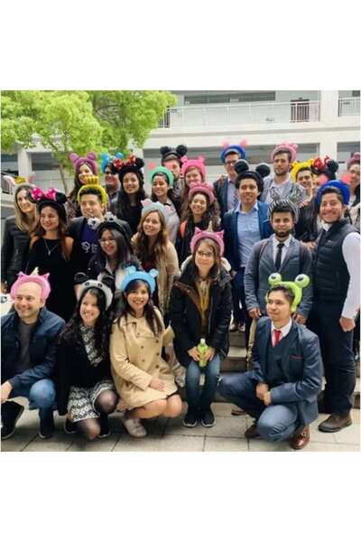 Terra Balon folie metalică, coroană cu urechi, tigru surprins