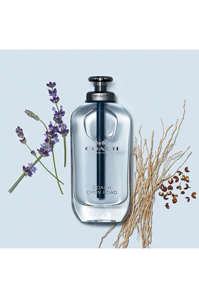 Coach Open Road, Apa de Toaleta, Barbati, 100 ml