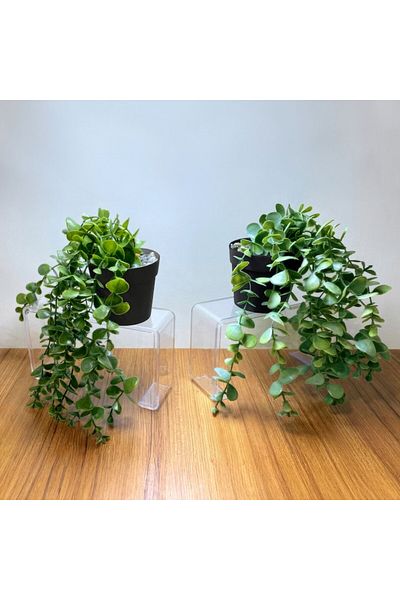 CLICK Decor Plante Artificiale in Ghiveci 16 X 26 Cm