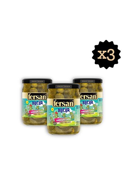 Fersan Kornişon Turşu 370 CC