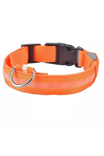 OEM Zgardă reglabilă pentru câini cu iluminare, mărime XL 52-60 cm, culoare portocalie