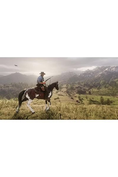 RockStar Games Red Dead Redemption 2 GCAM – Action & Shooter – PlayStation 4 (PS4)
