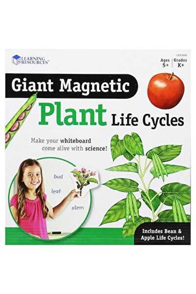 Learning Resources Ciclul de viață al unei plante - Set magnetic