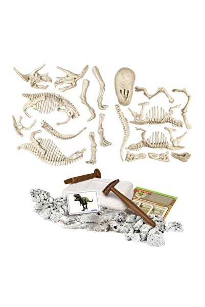 CLEMENTONI Science and Play - Dinosaurs: T-Rex and Triceratops