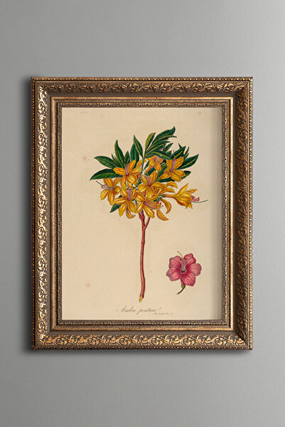 epiqart Azalea pontica - Cadru cu model vintage