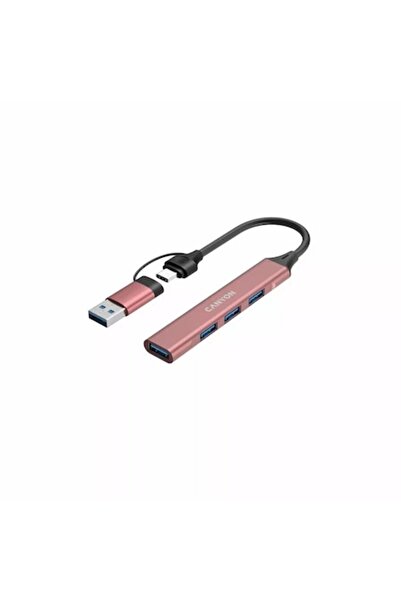 CANYON Hub USB 2.0 CNS-TDS02P cu 4 porturi, roz
