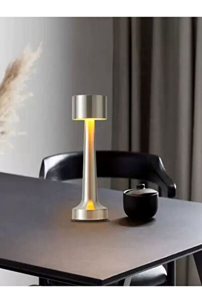 Özasya AVM Dekoratif Şarjlı Dokunmatik Led Masa Lambası Usb Kablolu Gece Lambası