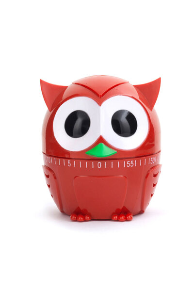 Kikkerland Baykuş Zaman Ayarlayıcı