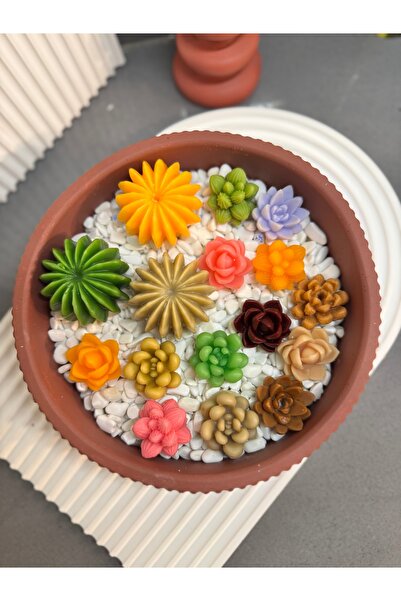 Yasminncandle Seramik kase içerisinde el yapımı sukulent mum