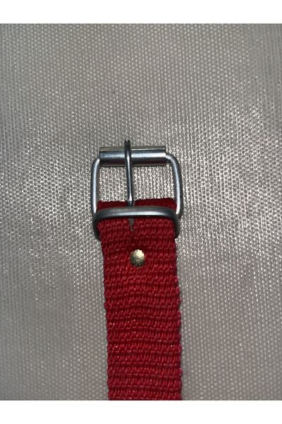 YILMAZ Blue Dog Collar